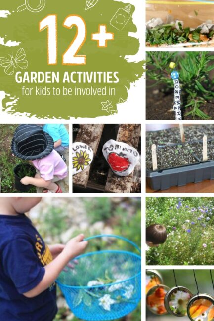 What Activities Can You Do In The Garden Green Lawn Cares