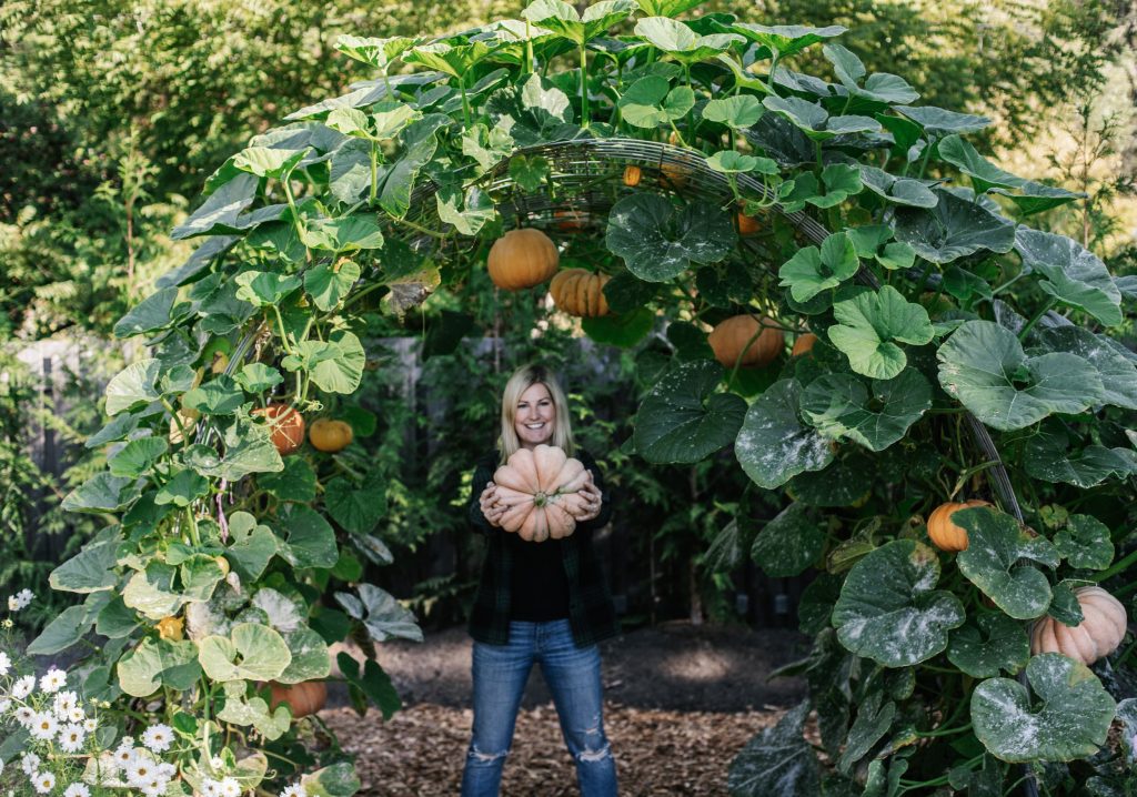 How to Grow Pumpkin: Expert Tips for a Bountiful Harvest - Green Lawn Cares
