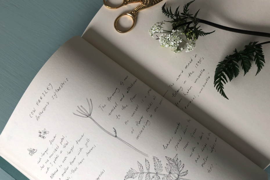 What is a Botany Journal?