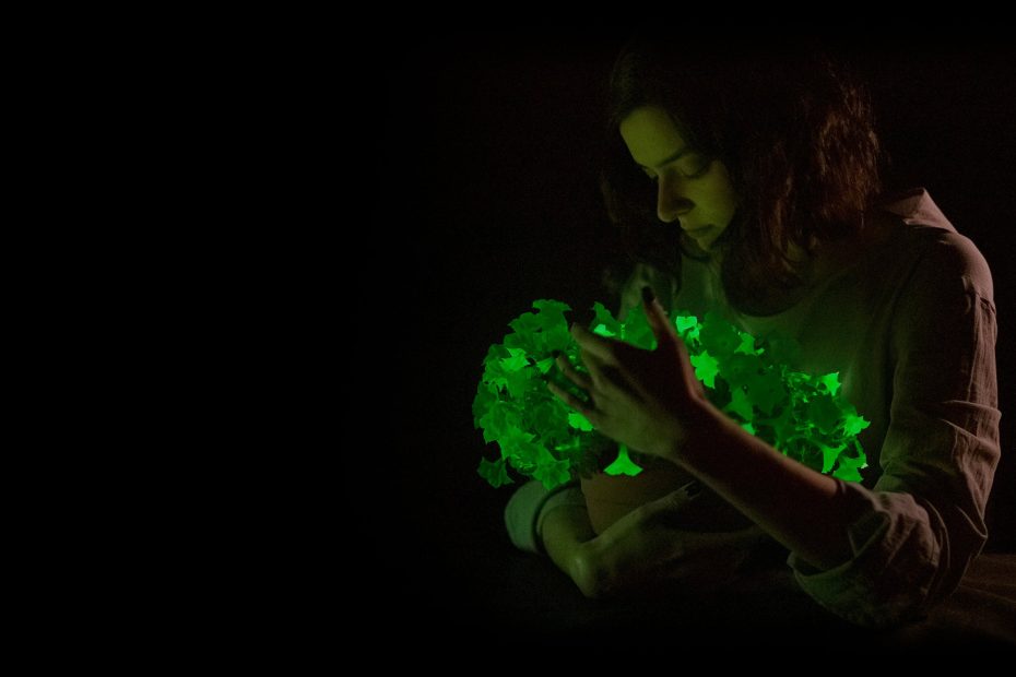 Firefly Petunia: the Plant You Will Love at Night