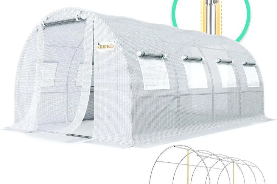 King Bird Premium 20X10X6.6Ft Large Walk-In Greenhouse