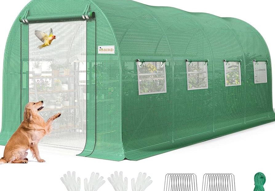 King Bird Premium Greenhouse for Outdoors