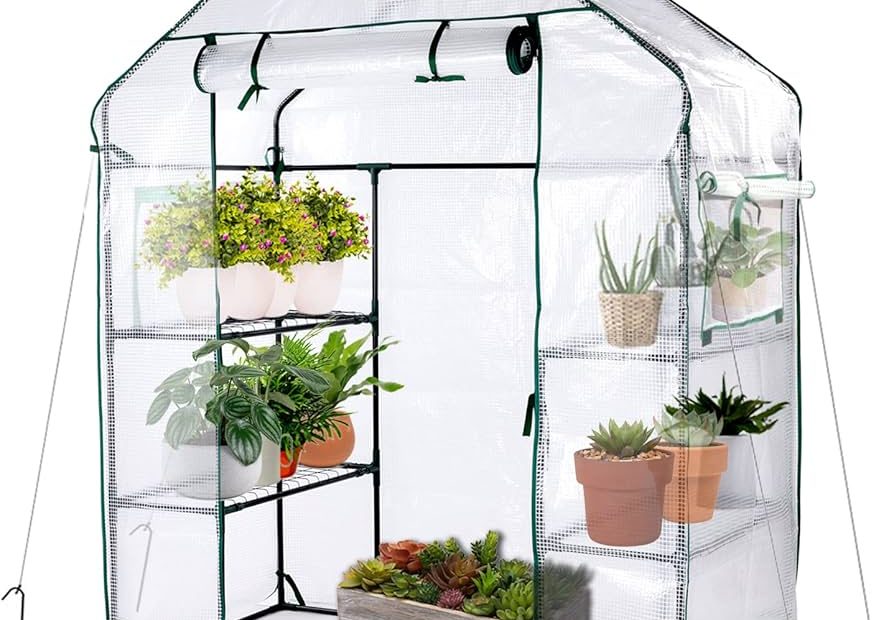 Mini Portable Green House for Garden Plants