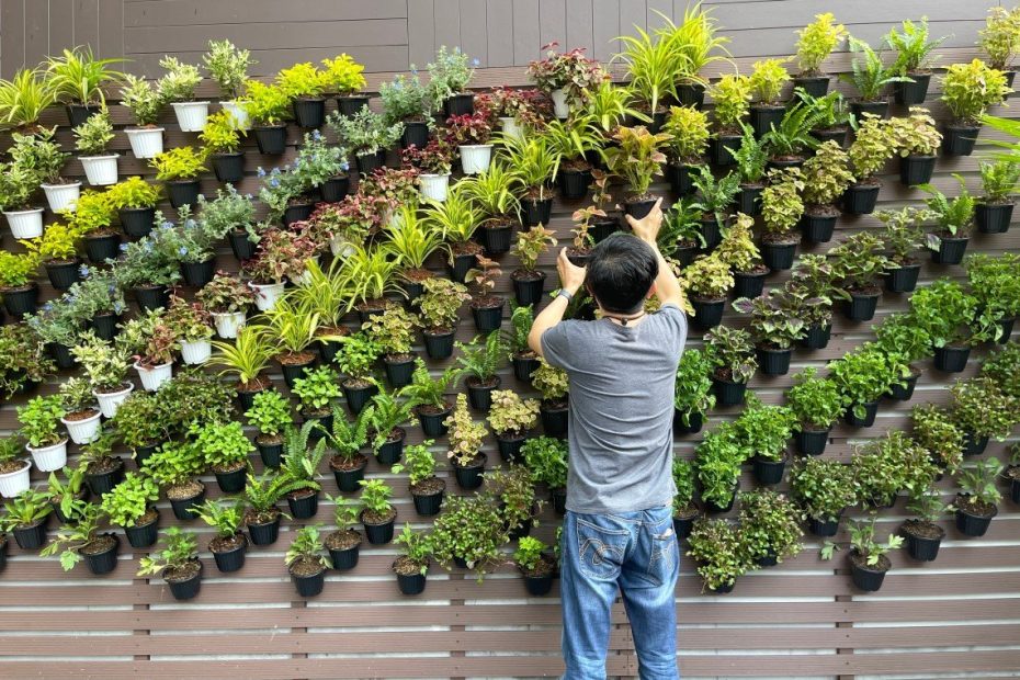 What Grows Best in a Vertical Garden?