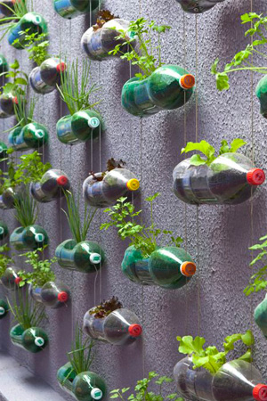What is Vertical Gardening?